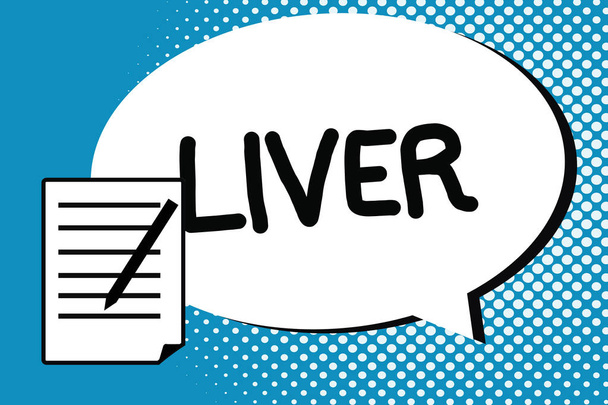 Handwriting text writing Liver. Concept meaning Large lobed glandular organ in the abdomen of vertebrates Produce bile - Photo, Image