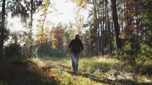 A young guy walks through the woods and enjoys life - Imágenes, Vídeo