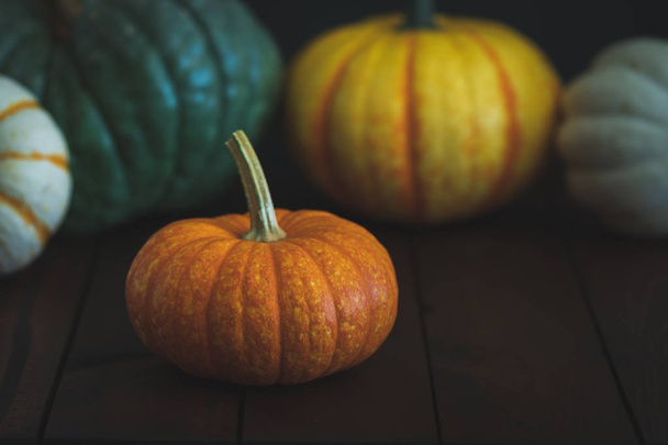 Calabazas en un fondo de otoño o otoño ideal para Acción de Gracias o Halloween
. - Foto, Imagen