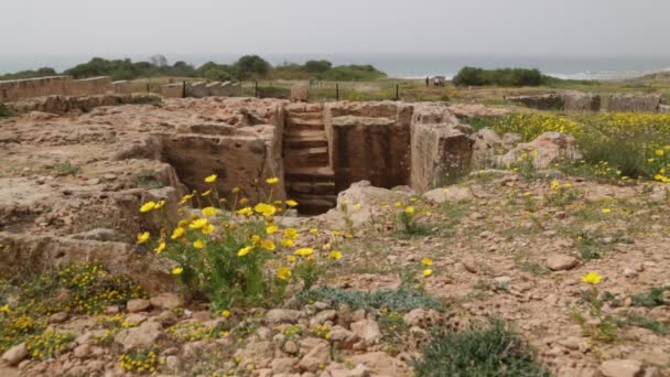 gyönyörű antik romok Paphos, Ciprus  - Felvétel, videó
