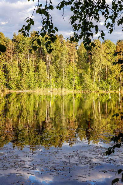 Krásný výhled na jezero s odrazem ve vodě a v lese - Fotografie, Obrázek