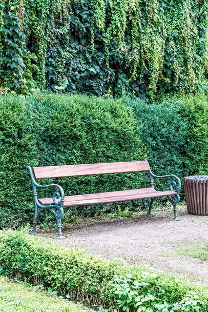 empty bench in park garden - Foto, Bild