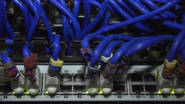 Closeup of server hardware wires - Footage, Video