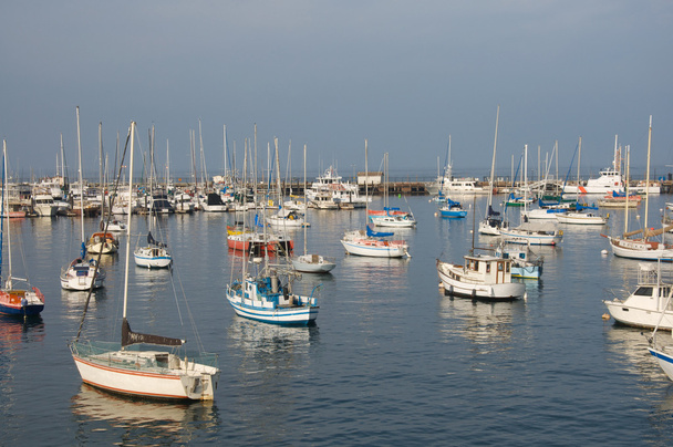 Large group of sail boats in a marina - Photo, Image