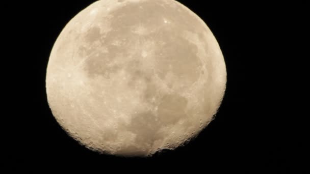 Hold közelről Hd - Felvétel, videó