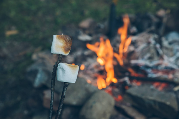 marshmallows σε μπαστούνια. κάμπινγκ φωτιά σε φόντο. κάμπινγκ - Φωτογραφία, εικόνα