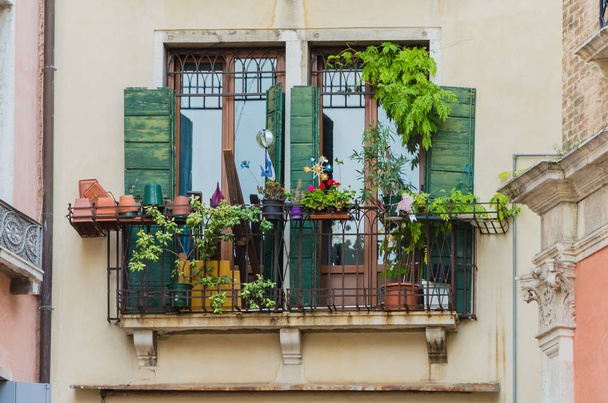 Las mejores ventanas de Venecia en un hermoso clima soleado
 - Foto, Imagen