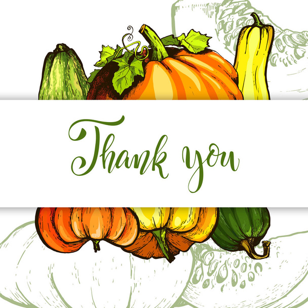 Colorful pumpkin vector hand drawn illustration. Farm market product. - Vector, Image