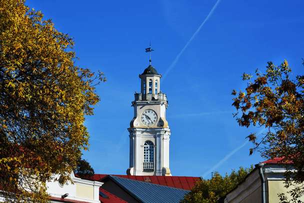 ヴィテプスク ベラルーシで生存しているいくつかの市役所の 1 つの古い市庁舎. - 写真・画像
