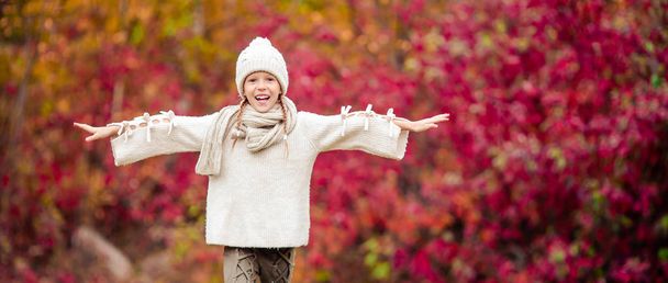 Чарівна маленька дівчинка в красивий осінній день на відкритому повітрі
 - Фото, зображення