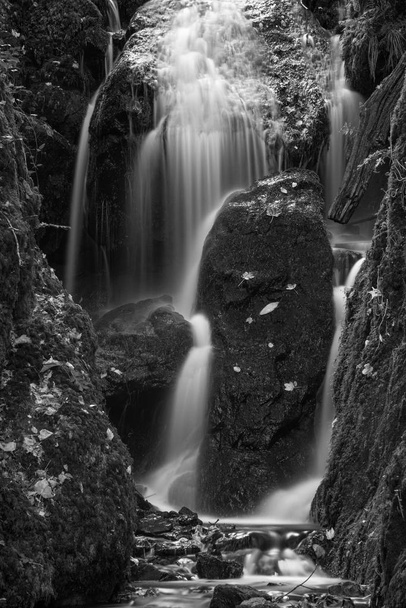 Superbe chute d'eau dans le feuillage paysager au début de l'automne en noir et blanc
 - Photo, image