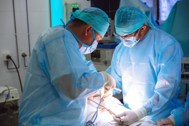 Два врача-мужчины в стерильной медицинской одежде делают операцию в больнице. Профессиональная команда работает в клинике, хирург с ассистентом. Концепция здоровья, медицины
. - Фото, изображение