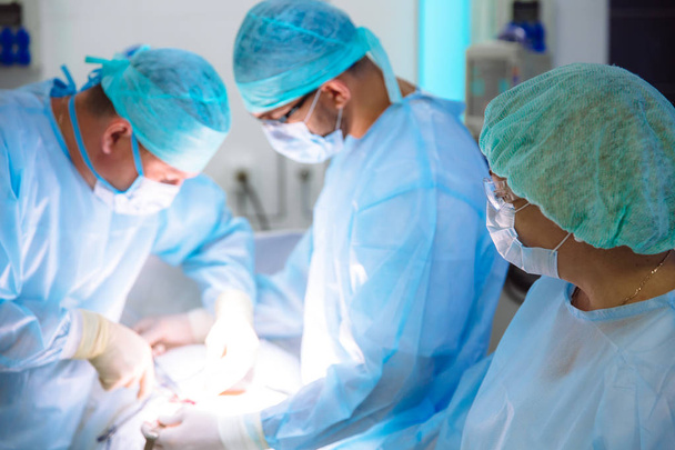 A team of doctors in sterile medical clothes perform an operation in a hospital. Professional work in the clinic, surgeons are men with an assistant woman. The concept of health, medicine. - Photo, Image