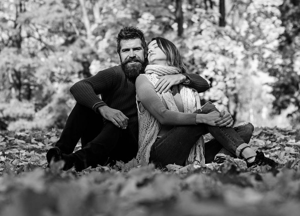 Couple in love with scarves sits on leaves in park - Photo, Image