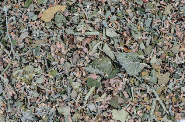 Сушеная трава, специи, цветок, используемый в кулинарии и лекарственного лечения, набор в качестве фона, вид сверху
 - Фото, изображение
