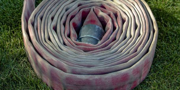 Manguera de fuego enrollada en un suelo cubierto de hierba iluminado por el sol
 - Foto, Imagen
