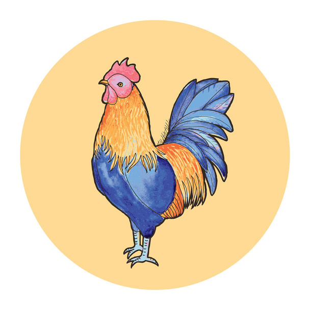 Vector illustration of rooster. Outline drawing on white background - Vektor, obrázek