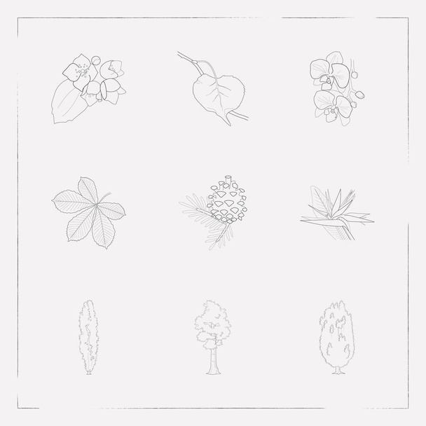 Reihe von Botanik-Symbolen Linie Stil-Symbole mit Aprikosenblatt, Mammutbäumen, Orchideen und anderen Symbolen für Ihre Web-Mobile-App-Logo-Design. - Vektor, Bild