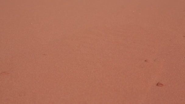 піщана пустеля дюна і абстрактний рух
  - Кадри, відео