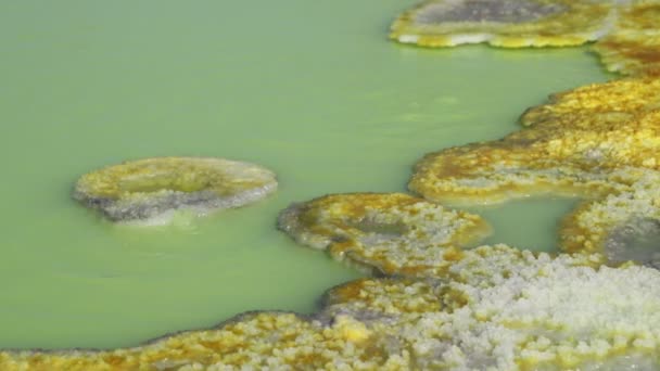 images de l'étang rempli de soufre vert, dépression volcanique de dallol, éthiopie, Afrique
 - Séquence, vidéo