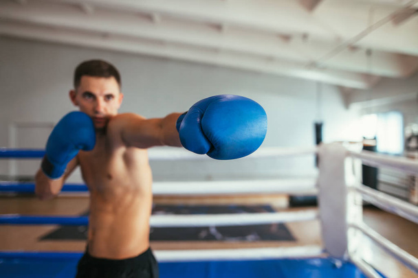 Male boxer fighting in gym and making direct hit. Focus on boxing glove. Sport concept - Foto, afbeelding