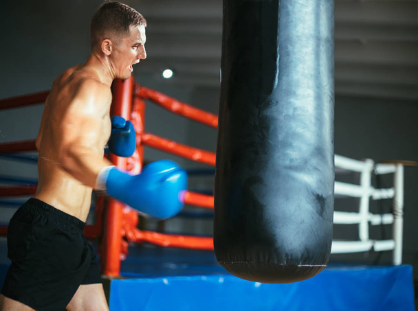 Male boxer hitting punching bag at boxing studio. Sport training. - Foto, afbeelding