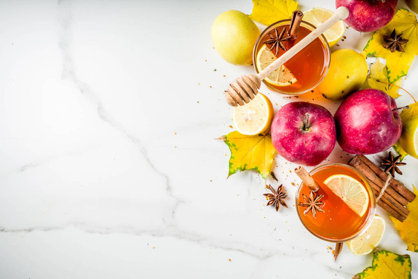 Dva šálky Podzimní zimní horký Kořeněný čaj s červená jablka, citrony, skořice, anýz, med, bílé mramorové pozadí kopírovat prostor - Fotografie, Obrázek