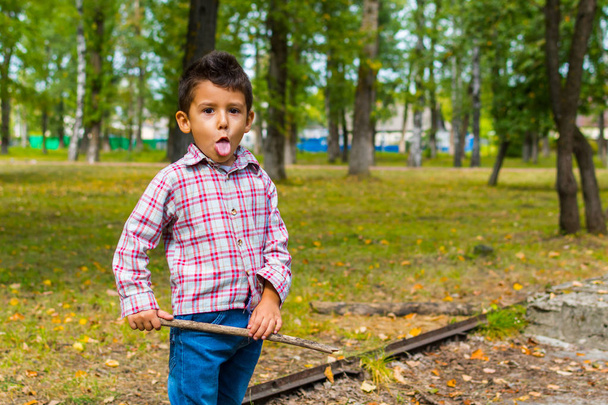 niño tontamente jugando en el parque en otoño
 - Foto, imagen
