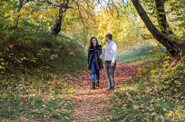 Young couple in love walking in the autumn forest among the yellow leaves - Photo, Image