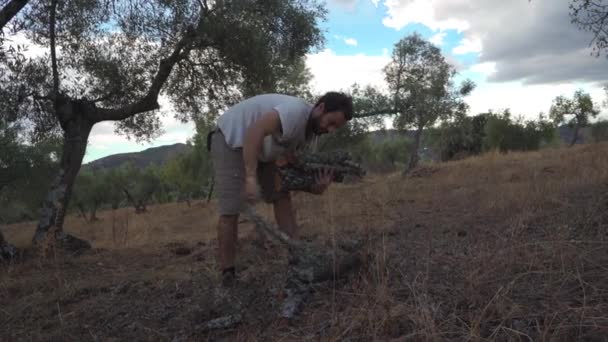 Homme ramassant du bois de chauffage sur le terrain
  - Séquence, vidéo