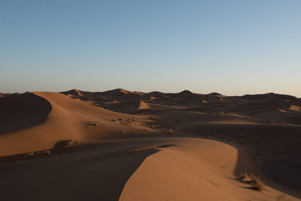 Sahra Çölü 'ndeki kum tepeleri, Fas. - Fotoğraf, Görsel