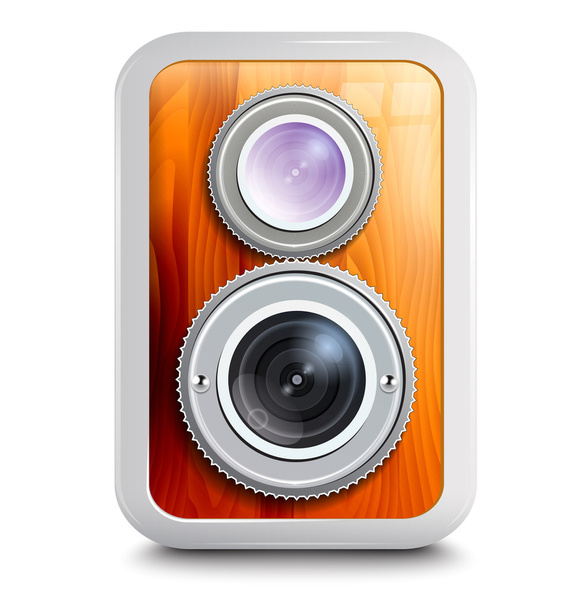 Icon , camera with two lenses, wooden case - Vector, Image