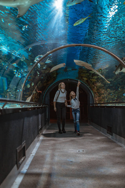 Felice madre e figlia passeggiando attraverso tunnel oceanario affascinato dal mondo oceanico
. - Foto, immagini