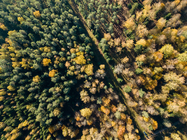 Vista aérea de la zona rural con campos y bosques en temporada de otoño
  - Foto, imagen