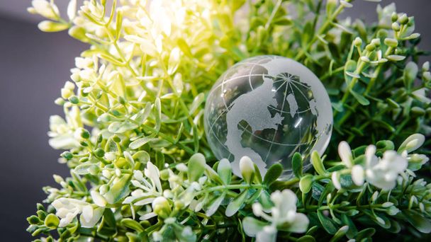 Wereld globe Warobase glas op groene bladeren bush. Behoud van het milieu. Wereld milieu dag. Global business voor duurzame ontwikkeling. Natuur en ecologie concept. - Foto, afbeelding