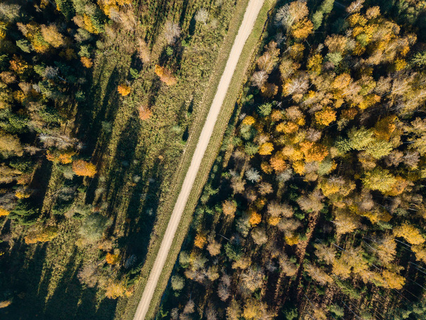 Αεροφωτογραφία της αγροτικής περιοχής με τα χωράφια και δάση στο Φθινόπωρο σεζόν  - Φωτογραφία, εικόνα