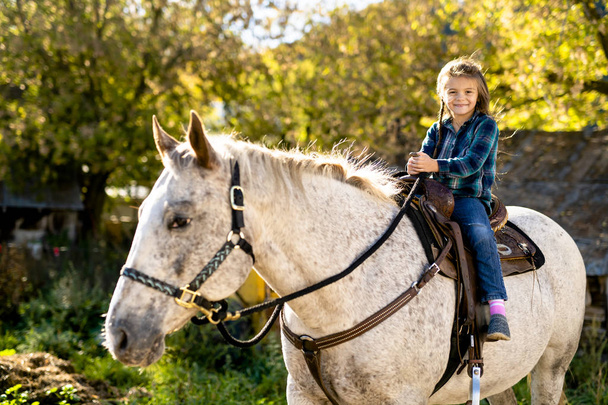 in a beautiful Autumn season of a young girl and horse - Fotografie, Obrázek