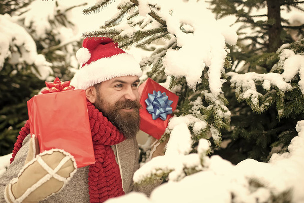 Bearded man in santa hat at new year. - Valokuva, kuva