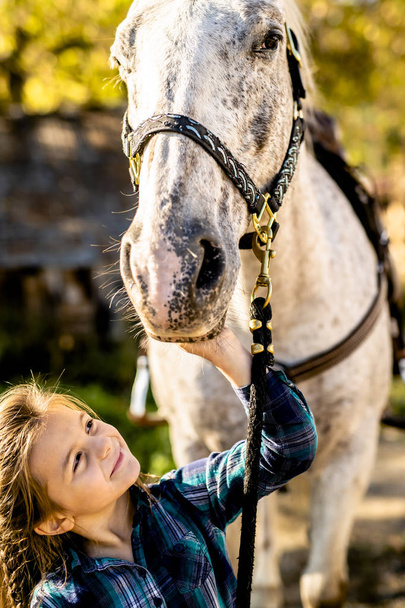 in a beautiful Autumn season of a young girl and horse - Φωτογραφία, εικόνα