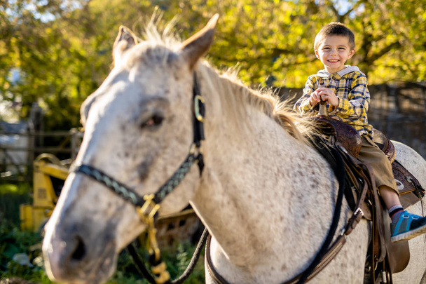 in a beautiful Autumn season of a young boy and horse - Fotoğraf, Görsel