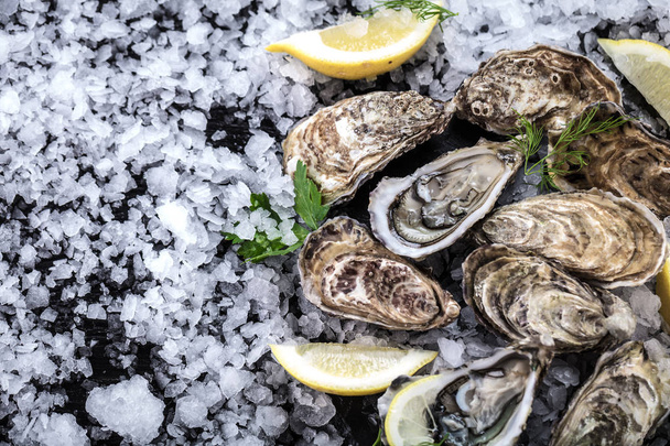Fresh raw oysters and lemon - Φωτογραφία, εικόνα