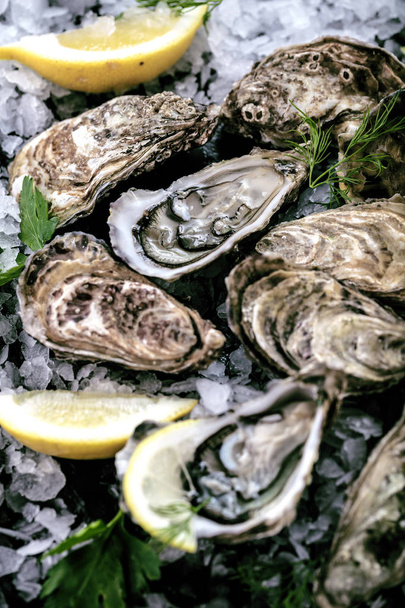 Fresh raw oysters and lemon - Φωτογραφία, εικόνα