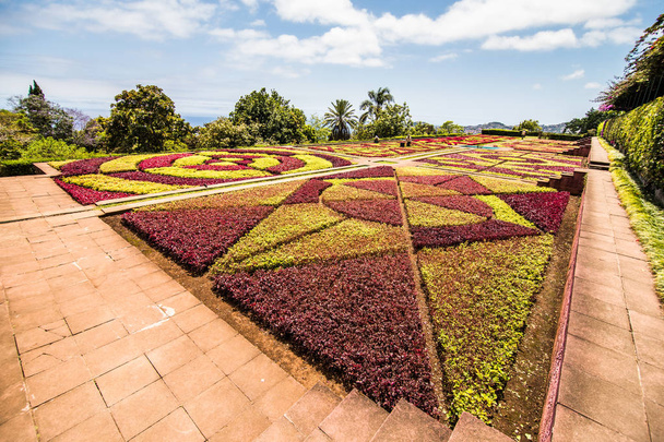 Фуншал, Португалия - июль 2018 года Ботанический сад Монте Фуншал Мадейра
 - Фото, изображение