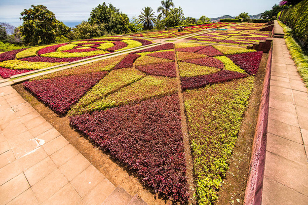 Фуншал, Португалия - июль 2018 года Ботанический сад Монте Фуншал Мадейра
 - Фото, изображение