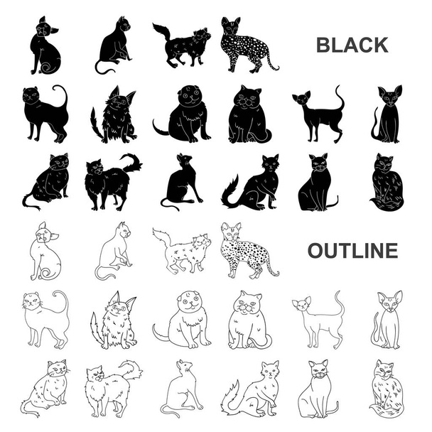 Lying Cat Icon Set Siamese Red Stock Vector (Royalty Free) 443555572