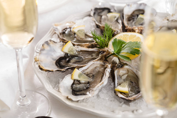 beautiful appetizer oysters two glasses wine champagne - Фото, зображення