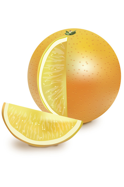 オレンジ色の果物 - ベクター画像