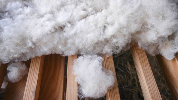Fuzzy and white pure sheep wool laying down in wooden planks surface with stray visible underneath. - Photo, Image
