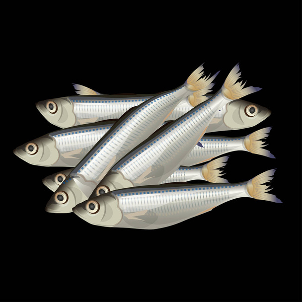 Heap small fresh fish. Vector illustration isolated on black background - Vector, afbeelding