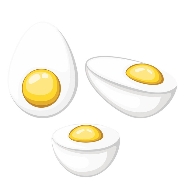 Keitetyt munat asetettu. Viipaloitu ja kokonaisia munia. vektorikuvaus
. - Vektori, kuva